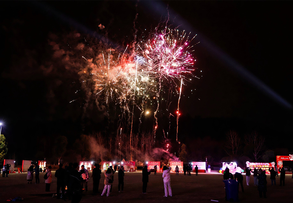 春节烟花秀